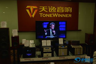 聲臨其境，匠心之作 2015廣州國際音響唱片展上的廣州天逸電子